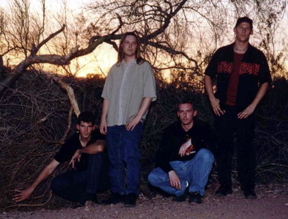 GROUNDED: under a desert tree at sunset